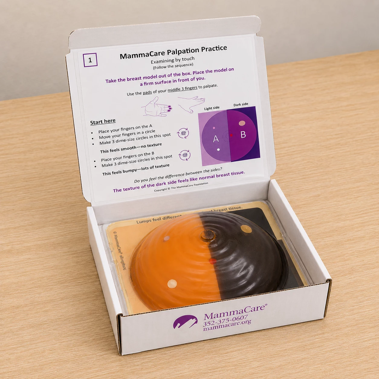 MammaCare Palpation Practice Kit: transparent breast model with four embedded lumps and palpation practice cards